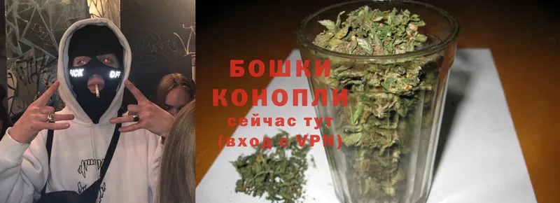 Бошки марихуана SATIVA & INDICA  купить наркотики цена  Бирюч 